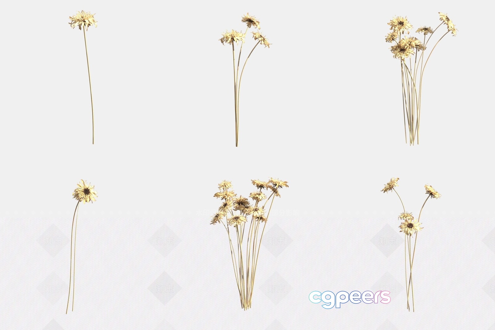 Dried Flowers On A White Background 3D Model - 22809 - VRAY Render