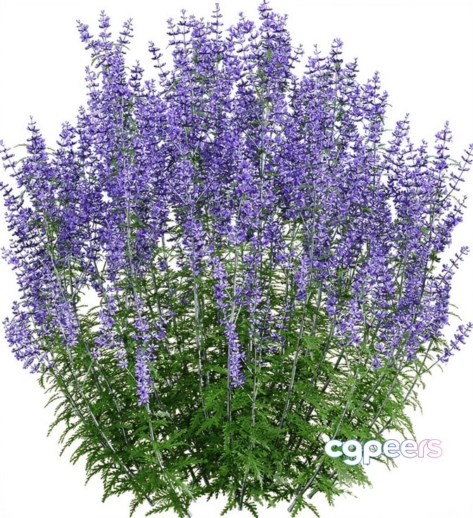Purple Flowering Plant 3D Model - 17226 - VRAY Render