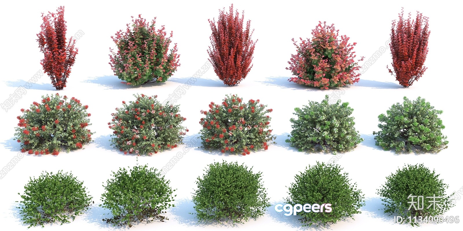 Bushes With Green And Red Leaves 3D Model - 4940 - VRAY Render Bushes With Green And Red Leaves 3D Model - 4940 - VRAY Render