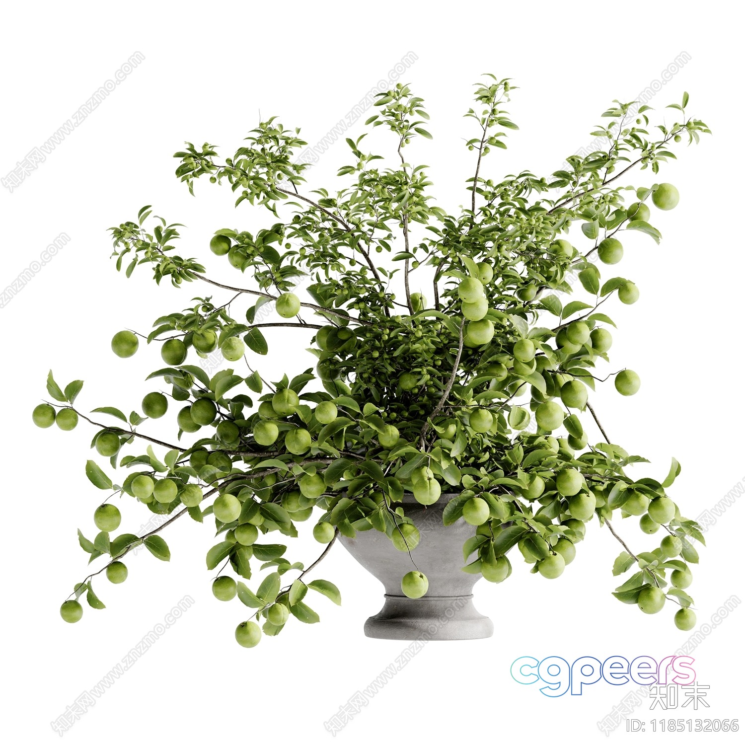 A Green Plant In A Pot 3D Model - 14093 - VRAY Render