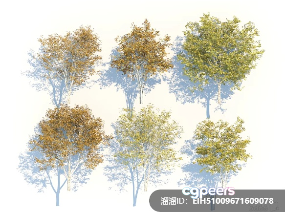A Collection Of Trees 3D Model - 4200 - VRAY Render A Collection Of Trees 3D Model - 4200 - VRAY Render
