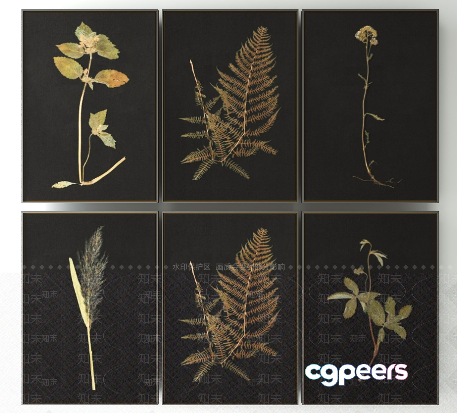 Six Pieces Of Artwork Featuring Pressed Leaves 3D Model - 23059 - VRAY Render Six Pieces Of Artwork Featuring Pressed Leaves 3D Model - 23059 - VRAY Render