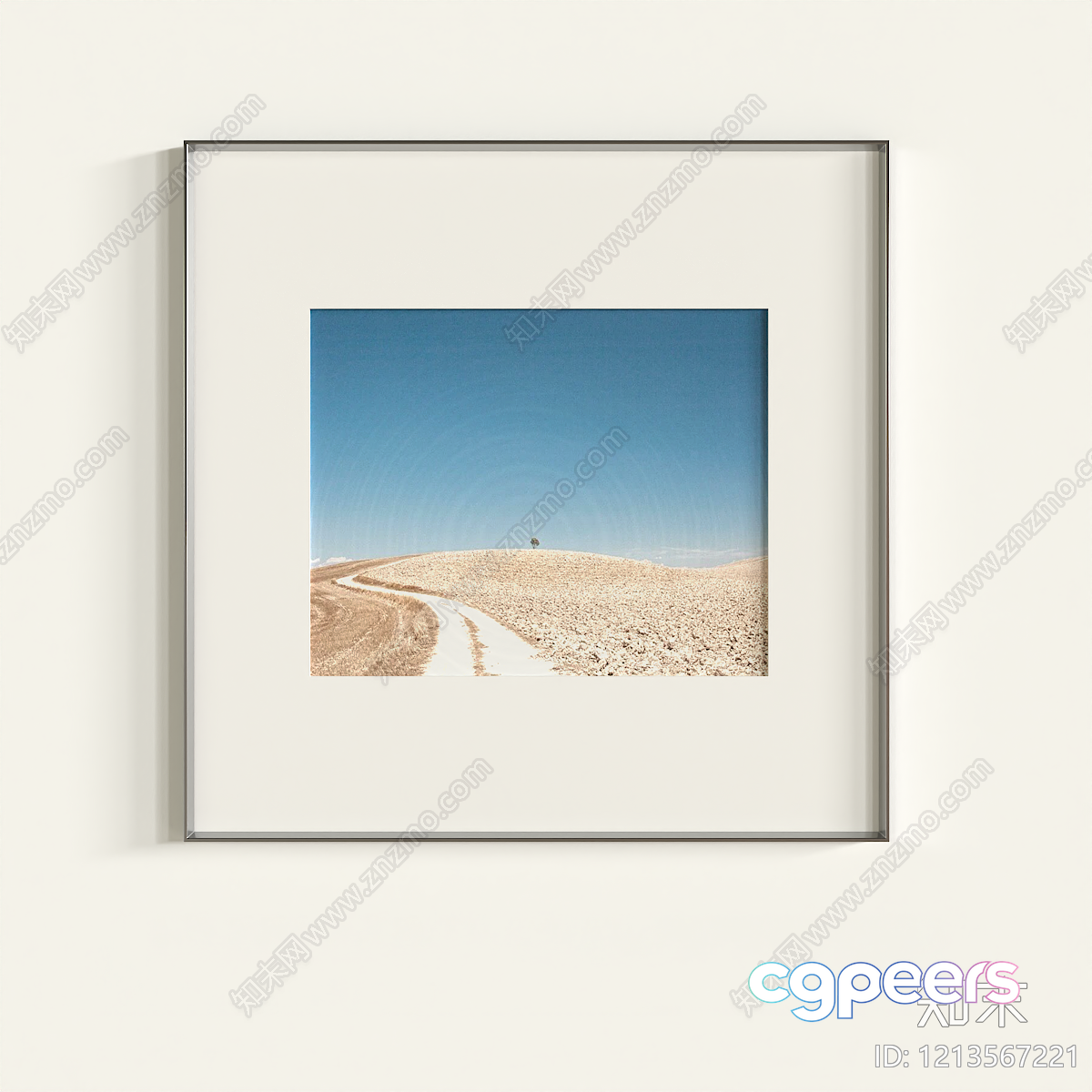 A Framed Photo Of A Desert Landscape 3D Model - 21895 - VRAY Render