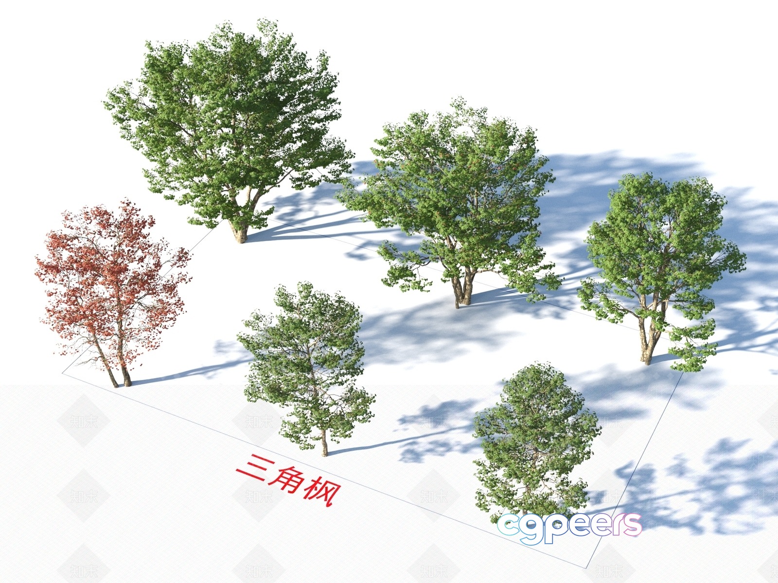 A Collection Of Trees With Varying Colors And Sizes 3D Model - 4116 - VRAY Render