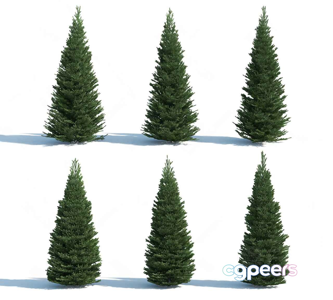 Six Christmas Trees 3D Model - 21388 - VRAY Render Six Christmas Trees 3D Model - 21388 - VRAY Render