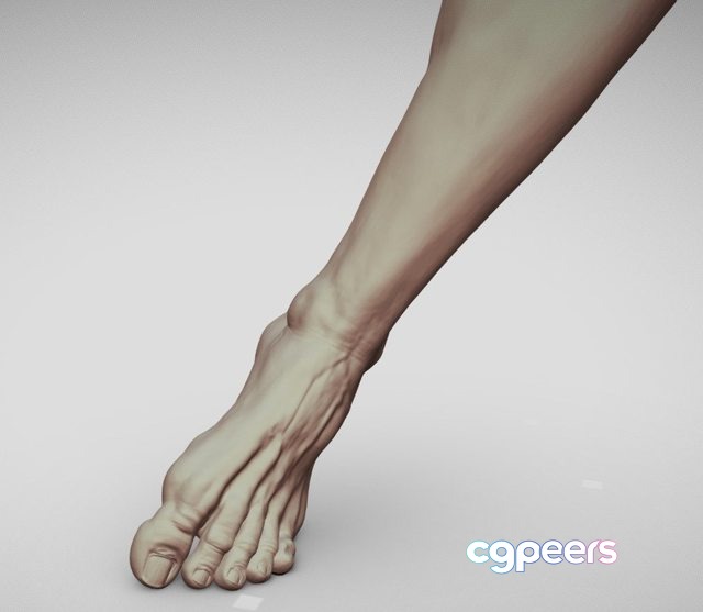 3D Game Assets - Male Foot 12 3D Game Assets - Male Foot 12