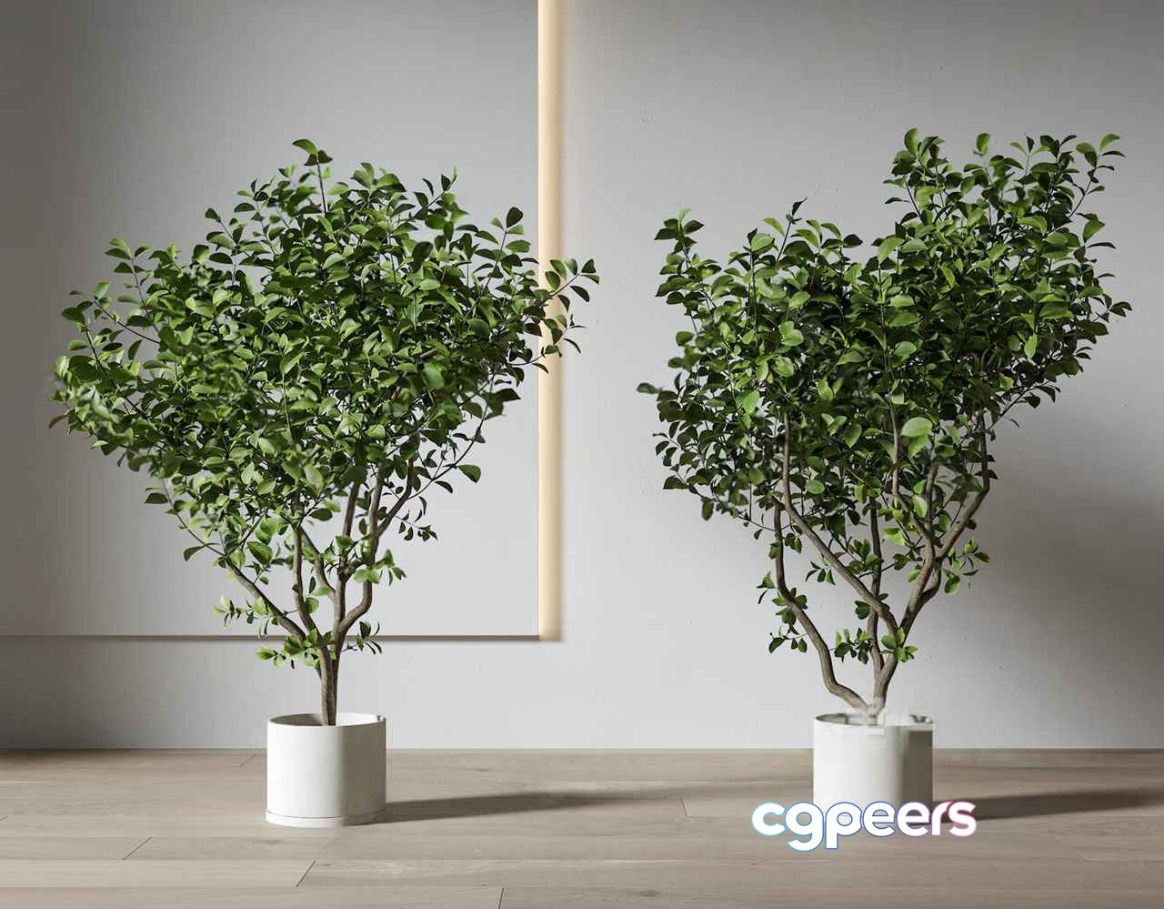 Modern Indoor Plants 3D Model - 10308 - VRAY Render