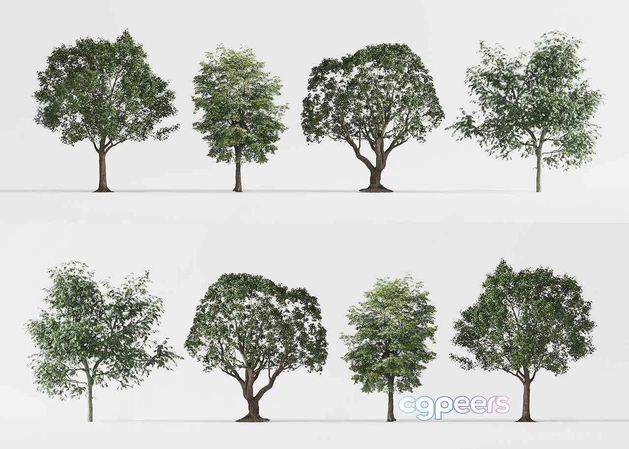 Trees With Green Leaves 3D Model - 19734 - CORONA Render Trees With Green Leaves 3D Model - 19734 - CORONA Render
