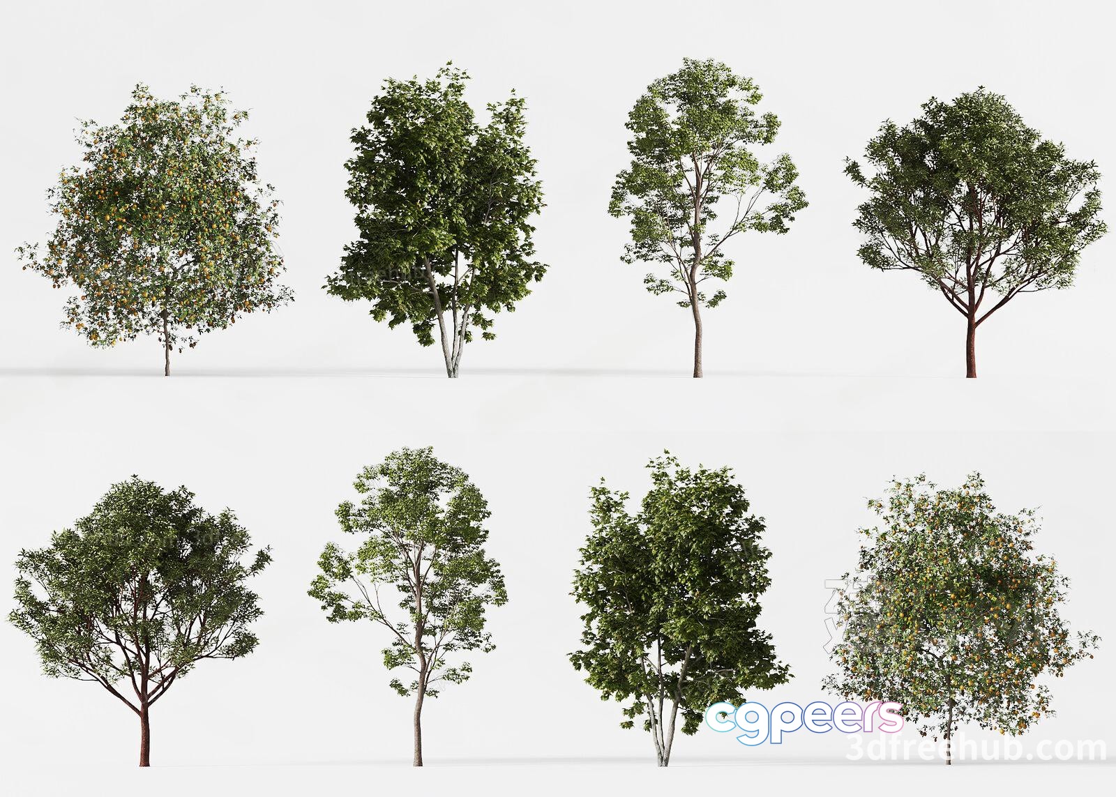 Trees With Green Leaves 3D Model - 22045 - VRAY Render Trees With Green Leaves 3D Model - 22045 - VRAY Render