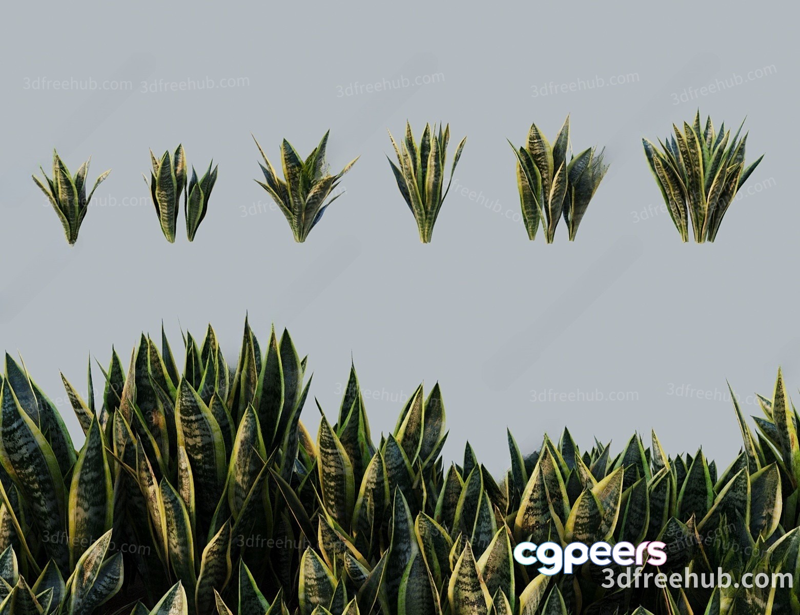 A Plant With Long Pointed Leaves 3D Model - 18526 - VRAY Render A Plant With Long Pointed Leaves 3D Model - 18526 - VRAY Render