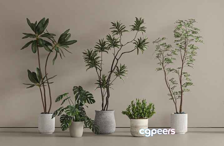 Plants In Pots 3D Model - 1821 - VRAY Render