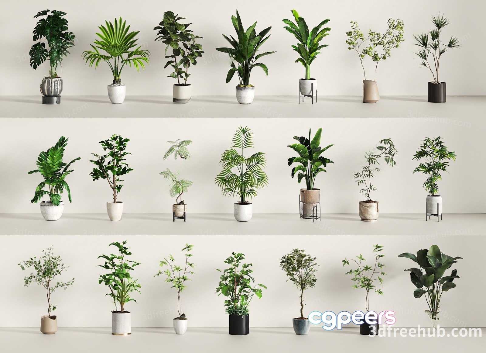Green House Plants 3D Model - 21790 - VRAY Render