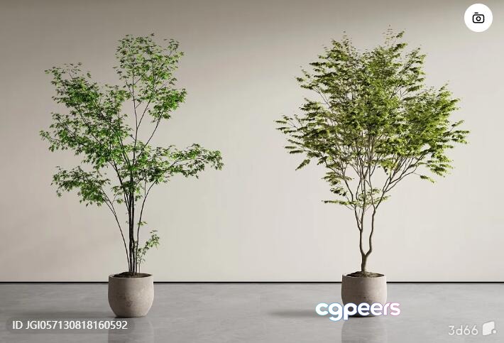 Two Potted Plants 3D Model - 12647 - VRAY Render
