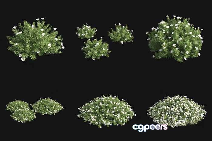 Small White Flowers 3D Model - 823 - VRAY Render