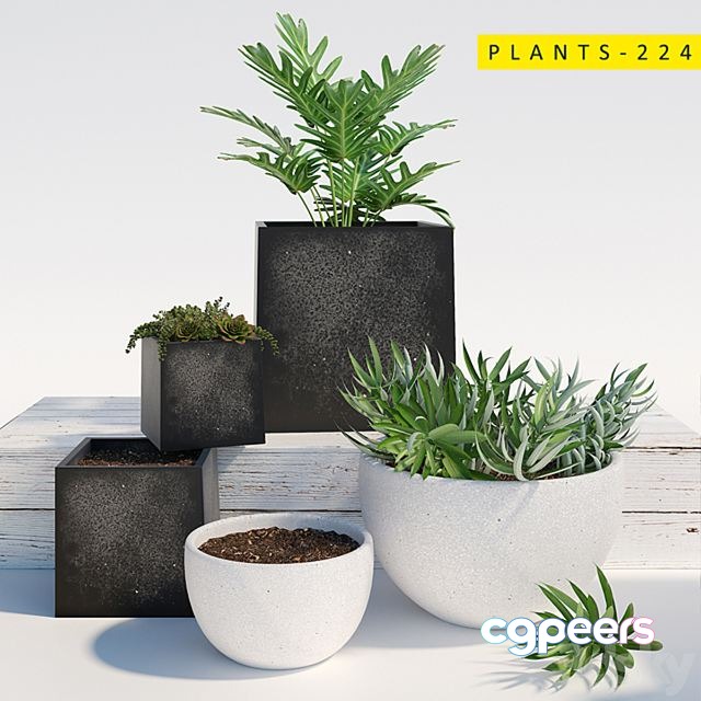 3ds Max Free - PLANTS 224 3ds Max Free - PLANTS 224