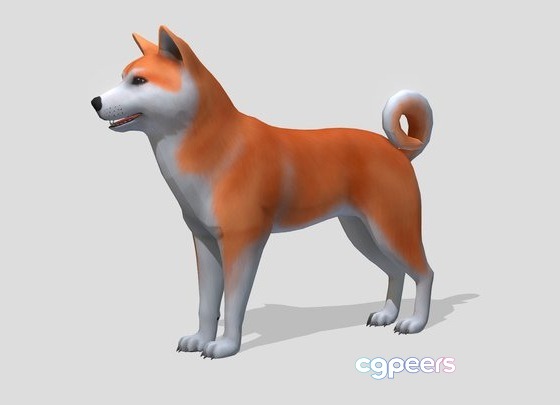3D Game Assets - Akita Inu 3D Game Assets - Akita Inu