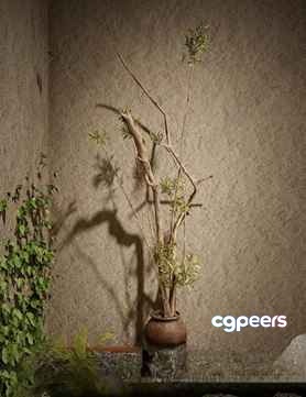 A Clay Vase 3D Model - 3072 - VRAY Render A Clay Vase 3D Model - 3072 - VRAY Render