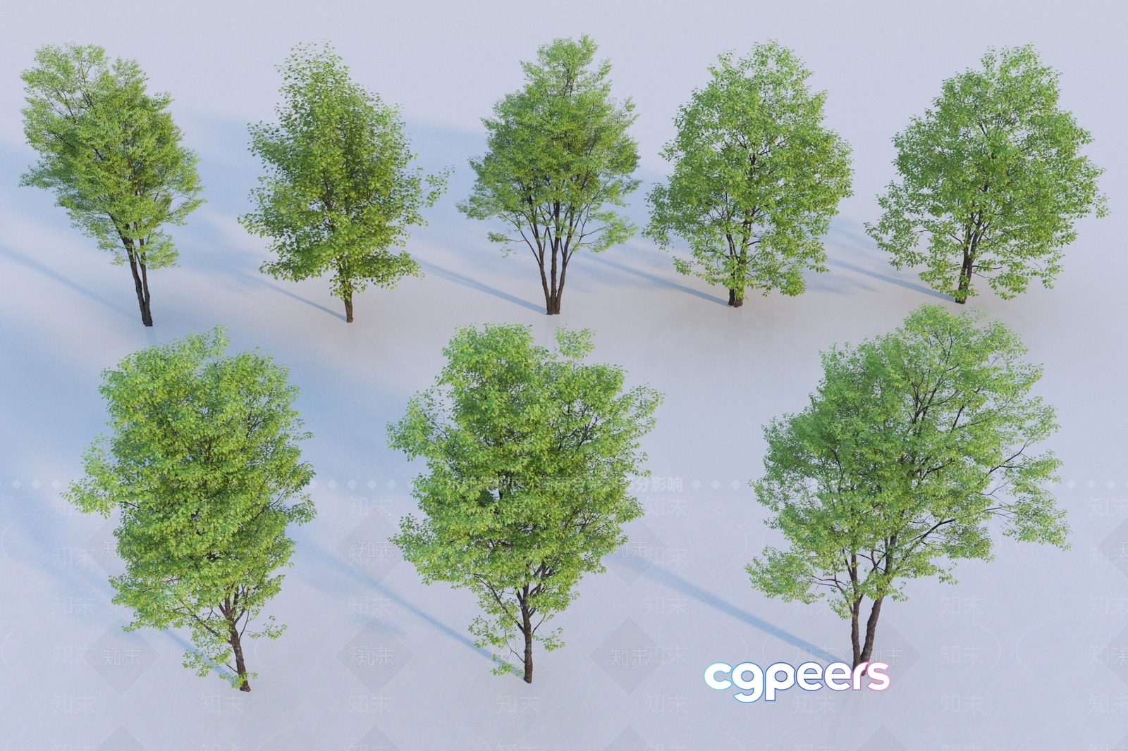 Trees With Green Leaves 3D Model - 11566 - VRAY Render