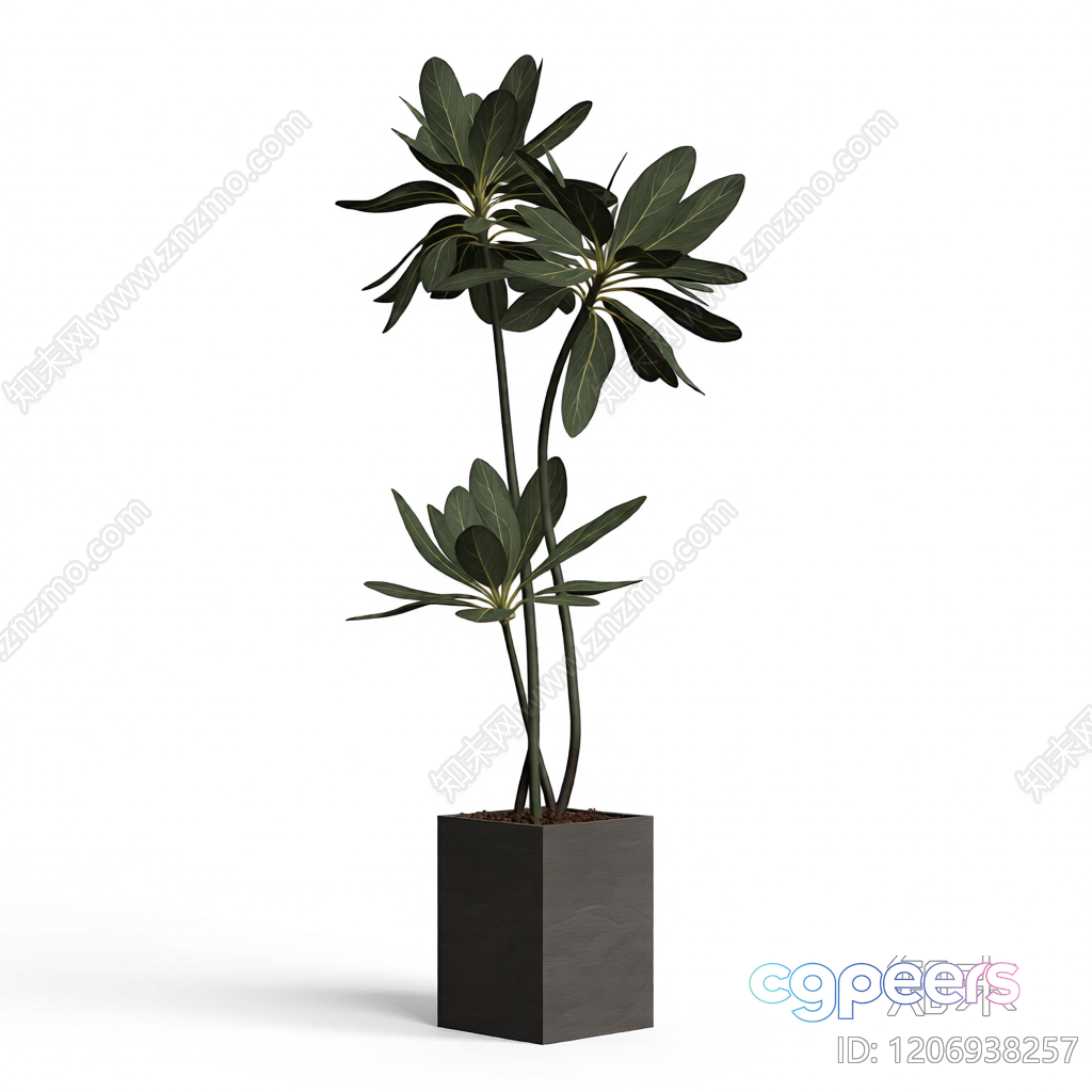 A Plant In A Pot 3D Model - 12534 - VRAY Render
