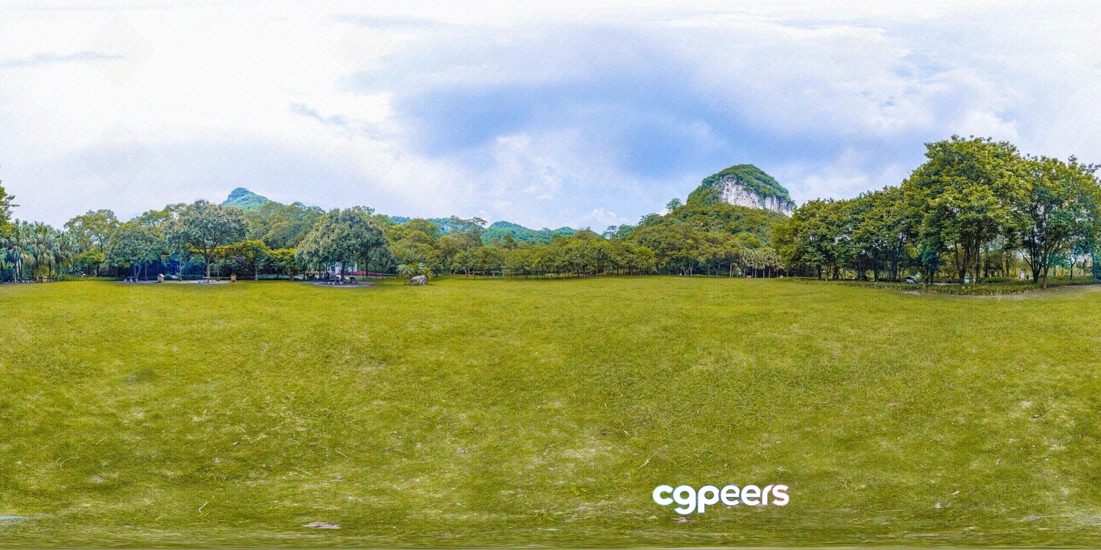 A Grassy Field 3D Model - 14551 - VRAY Render