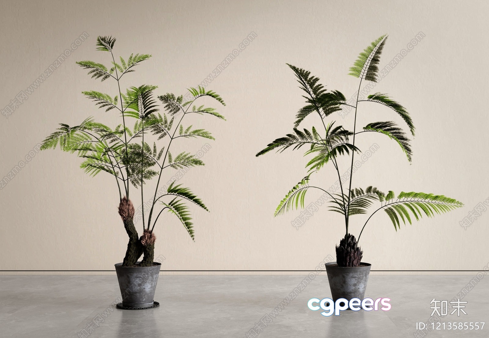 Two Potted Plants 3D Model - 16076 - VRAY Render