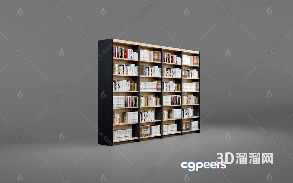 A Bookshelf 3D Model - 6396 - VRAY Render