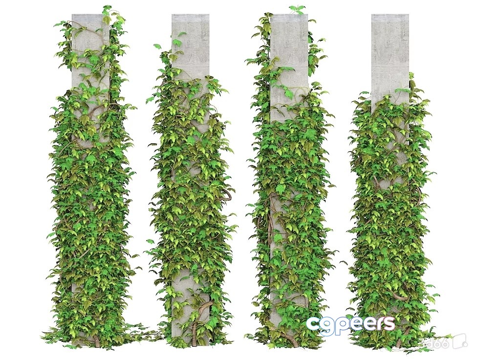 A Stone Pillar Covered In Green Ivy 3D Model - 20329 - VRAY Render A Stone Pillar Covered In Green Ivy 3D Model - 20329 - VRAY Render