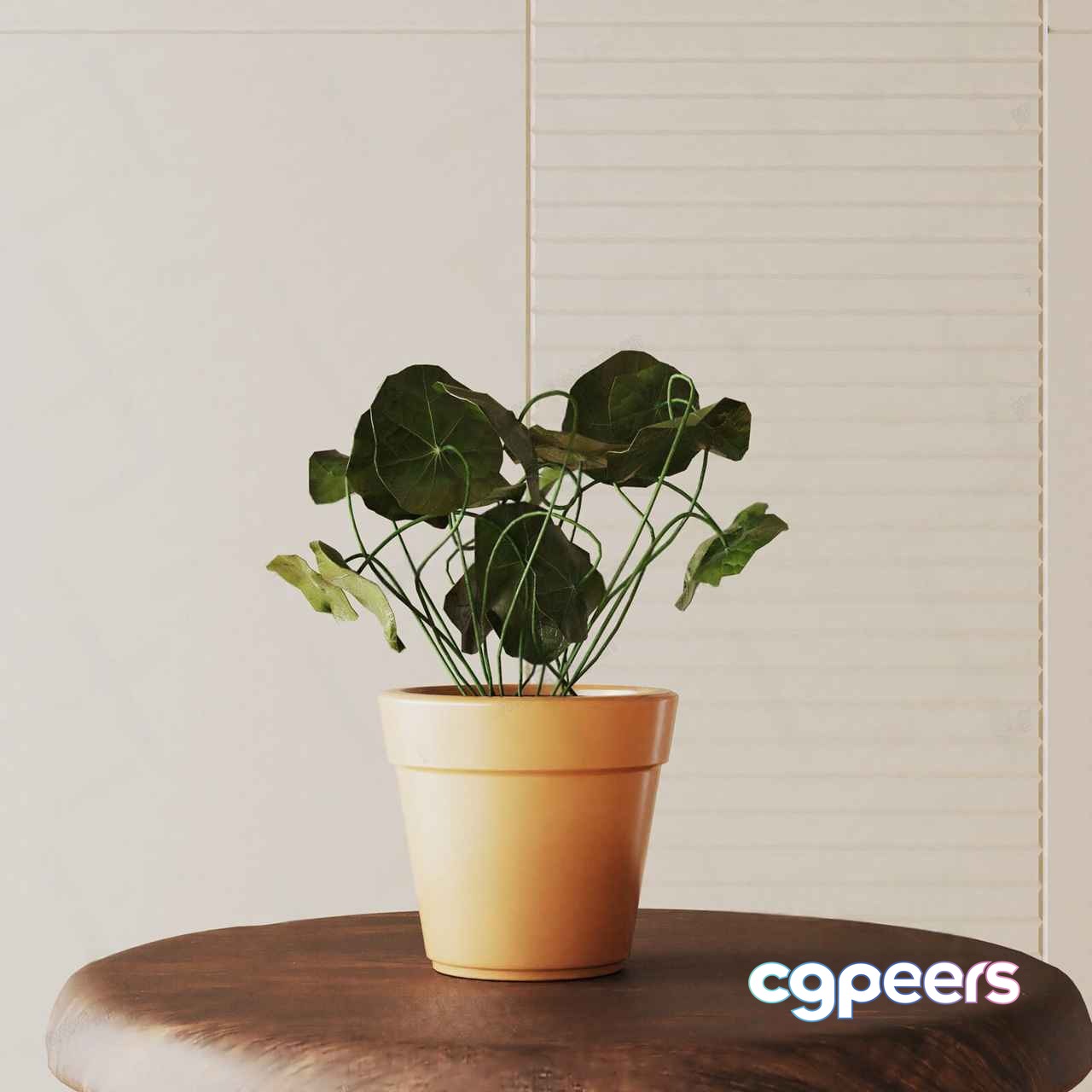 Small Potted Plant 3D Model - 1853 - VRAY Render Small Potted Plant 3D Model - 1853 - VRAY Render
