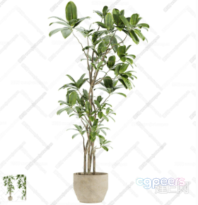 A Potted Plant 3D Model - 4519 - CORONA Render A Potted Plant 3D Model - 4519 - CORONA Render