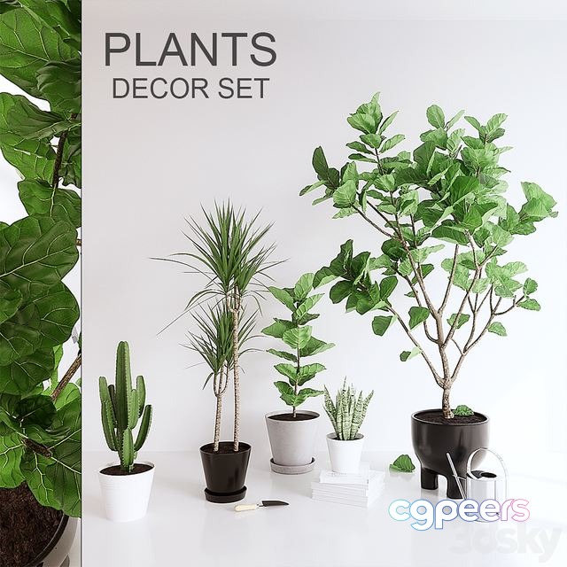 3ds Max Free - PLANTS SET (vray GGX, corona PBR) 3ds Max Free - PLANTS SET (vray GGX, corona PBR)
