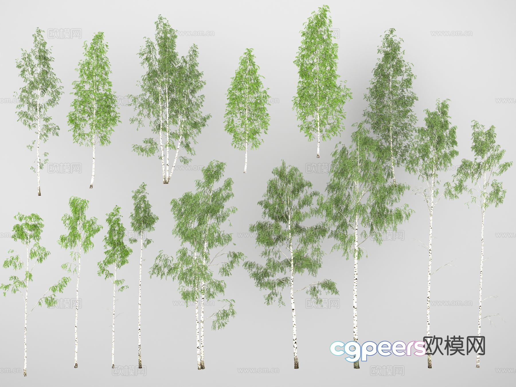 A Collection Of Trees 3D Model - 15701 - VRAY Render
