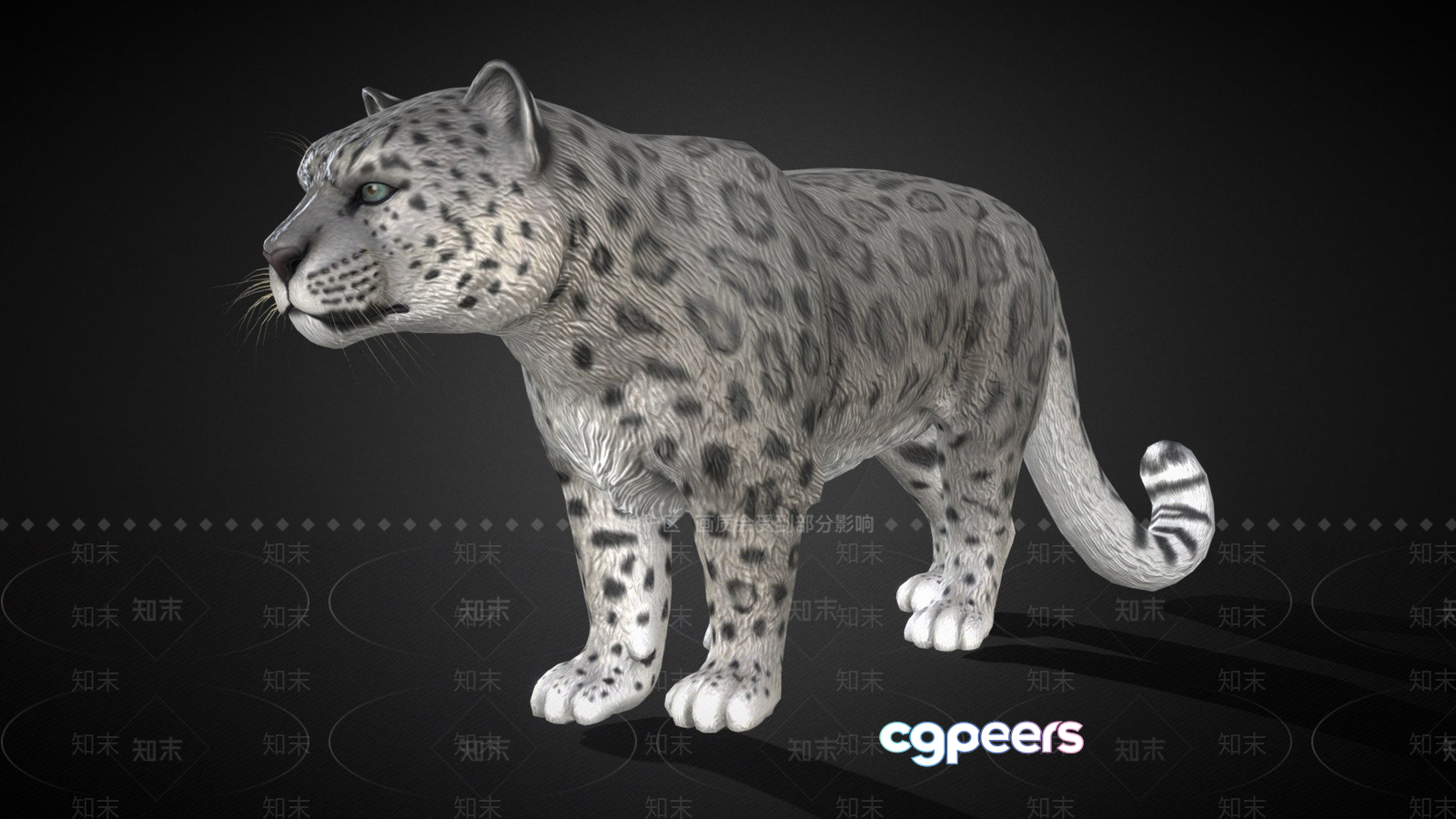 A Snow Leopard 3D Model - 4375 - VRAY Render