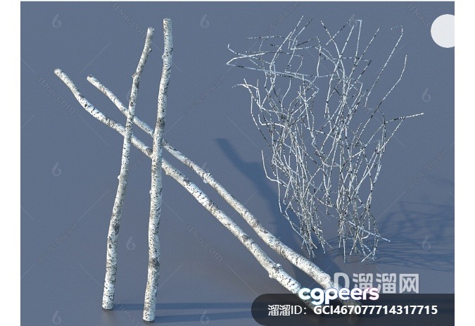 White 3D Branches 3D Model - 7803 - VRAY Render