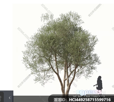 A Tree 3D Model - 18213 - VRAY Render A Tree 3D Model - 18213 - VRAY Render