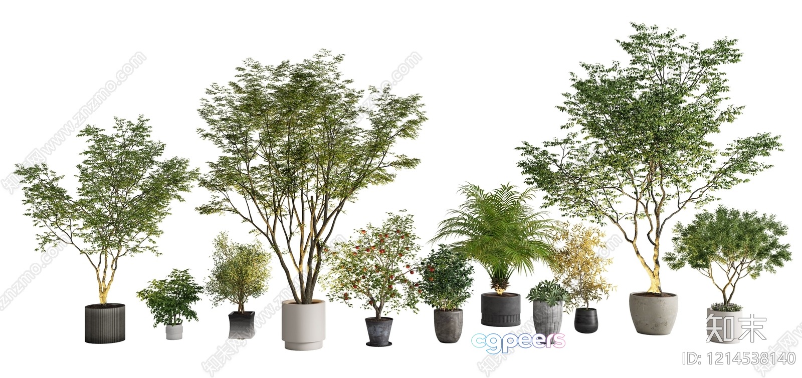 Potted Plants 3D Model - 10630 - VRAY Render