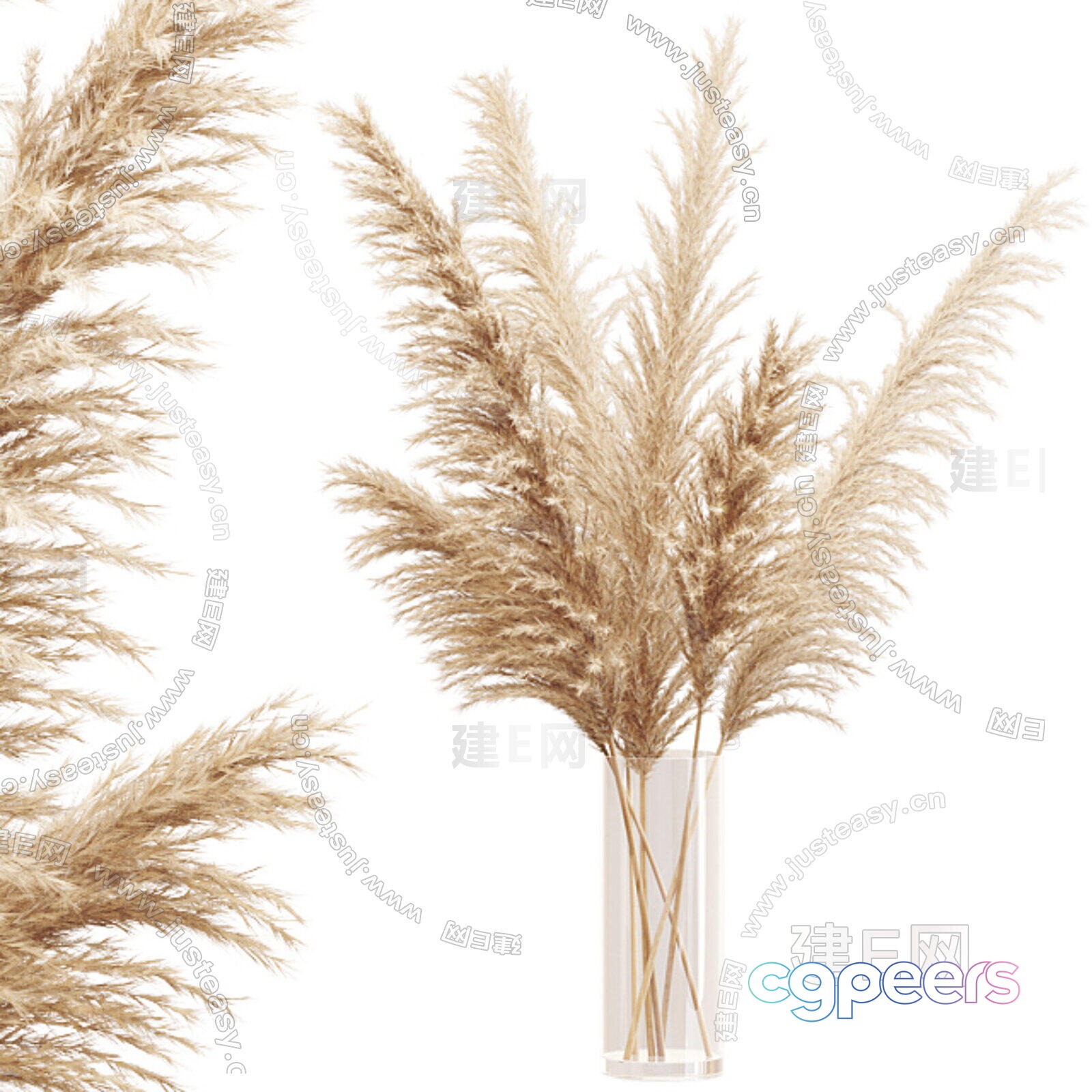 Pampas Grass In A Vase 3D Model - 18798 - CORONA Render