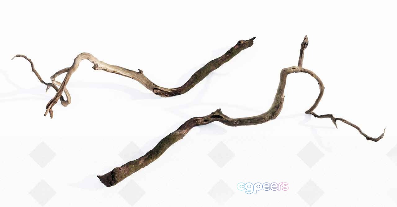 A Piece Of Driftwood 3D Model - 7752 - VRAY Render