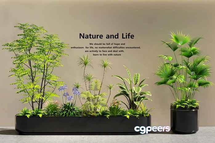 Plants In Planters 3D Model - 1234 - VRAY Render