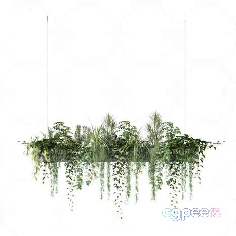 A Hanging Plant Arrangement 3D Model - 23706 - VRAY Render