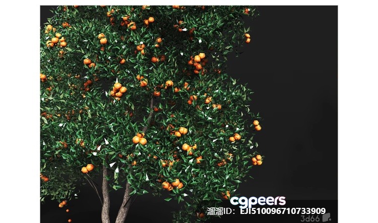A Tree With Orange Fruit 3D Model - 8566 - VRAY Render