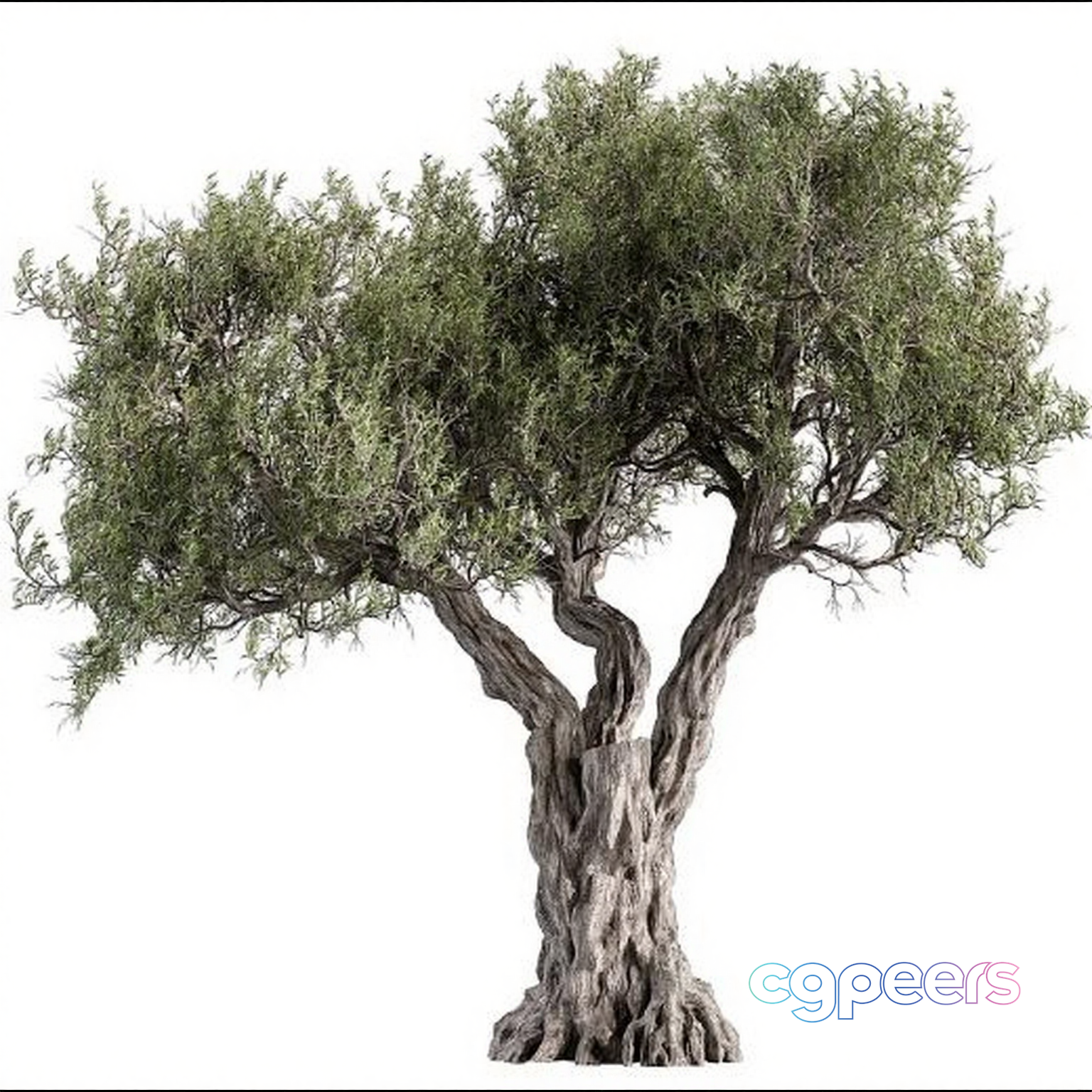 A Tree With Green Leaves 3D Model - 1823 - VRAY Render