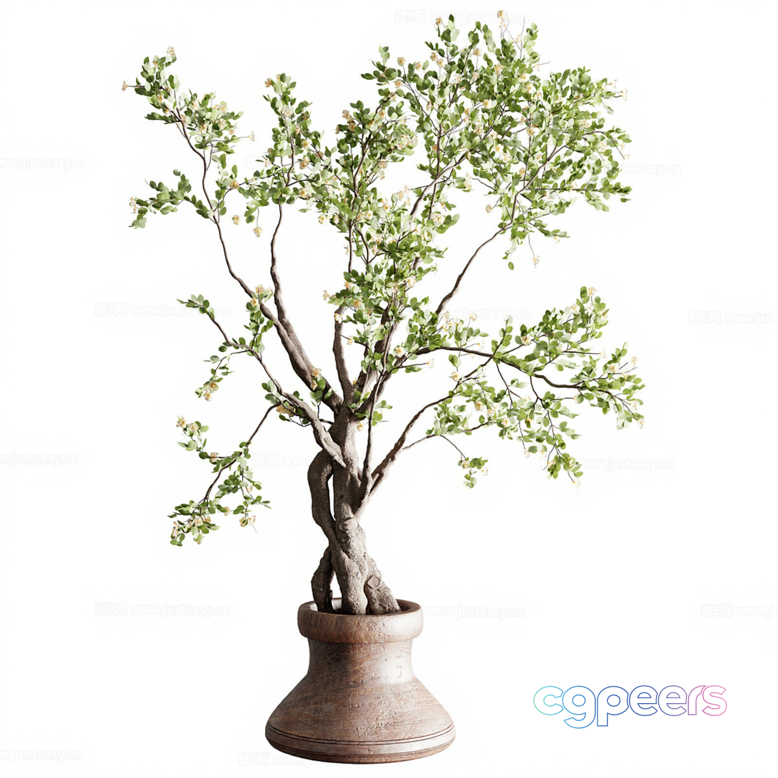 A Potted Plant 3D Model - 16062 - VRAY Render