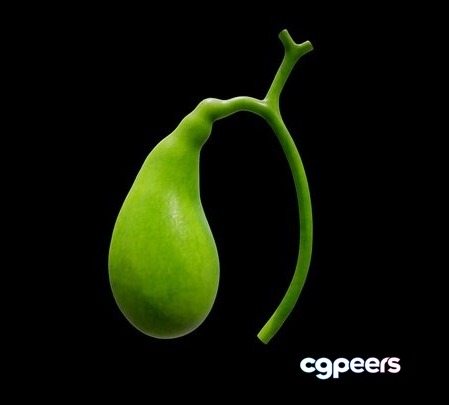 3D Game Assets - Gallbladder 3D Game Assets - Gallbladder