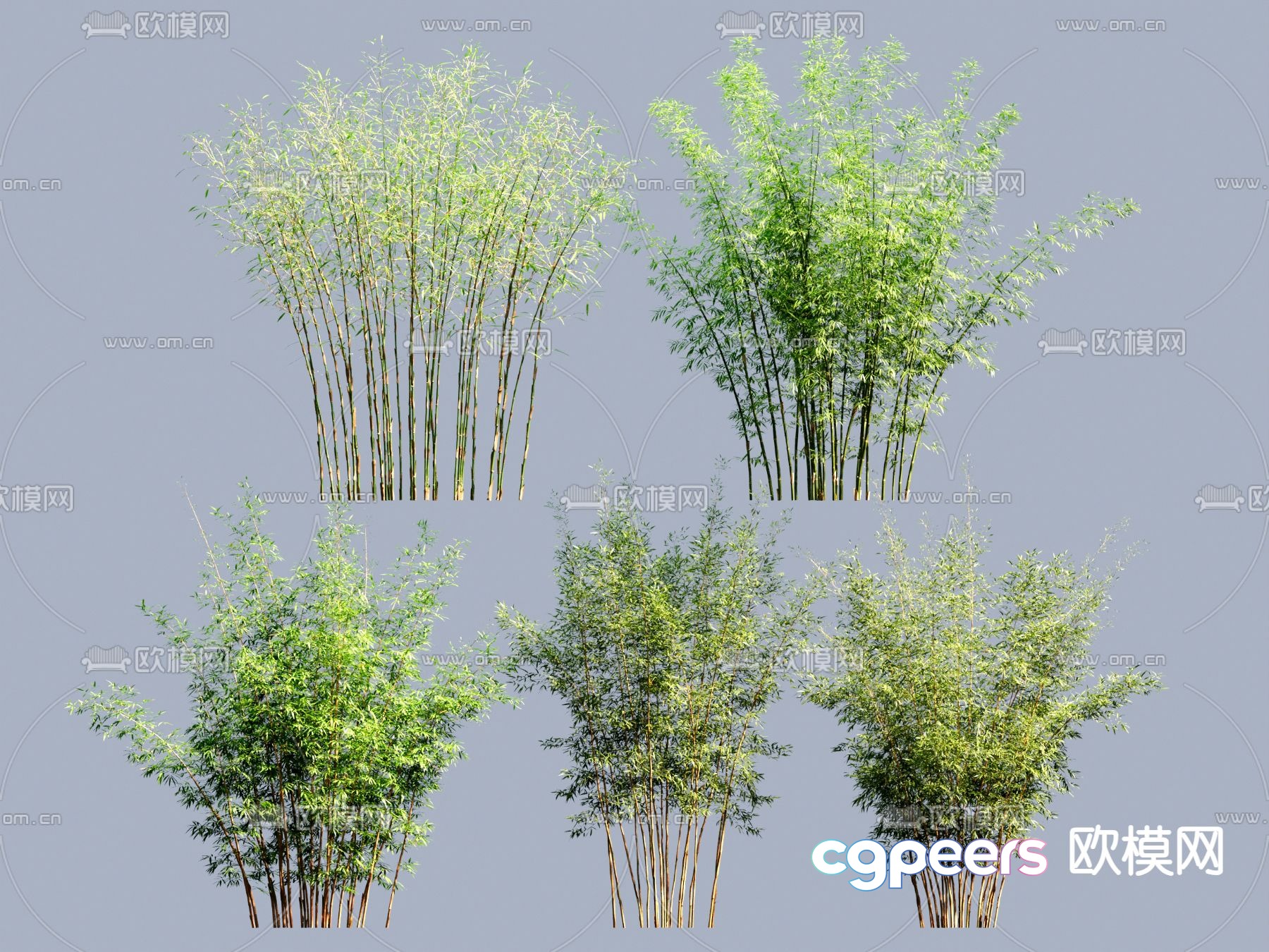 Bamboo Plants 3D Model - 9818 - VRAY Render Bamboo Plants 3D Model - 9818 - VRAY Render