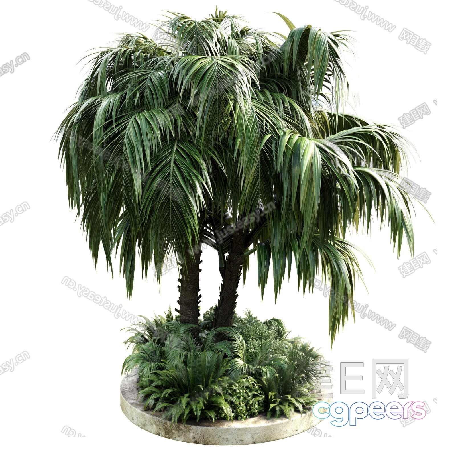 A Palm Tree With Green Leaves 3D Model - 23491 - VRAY Render