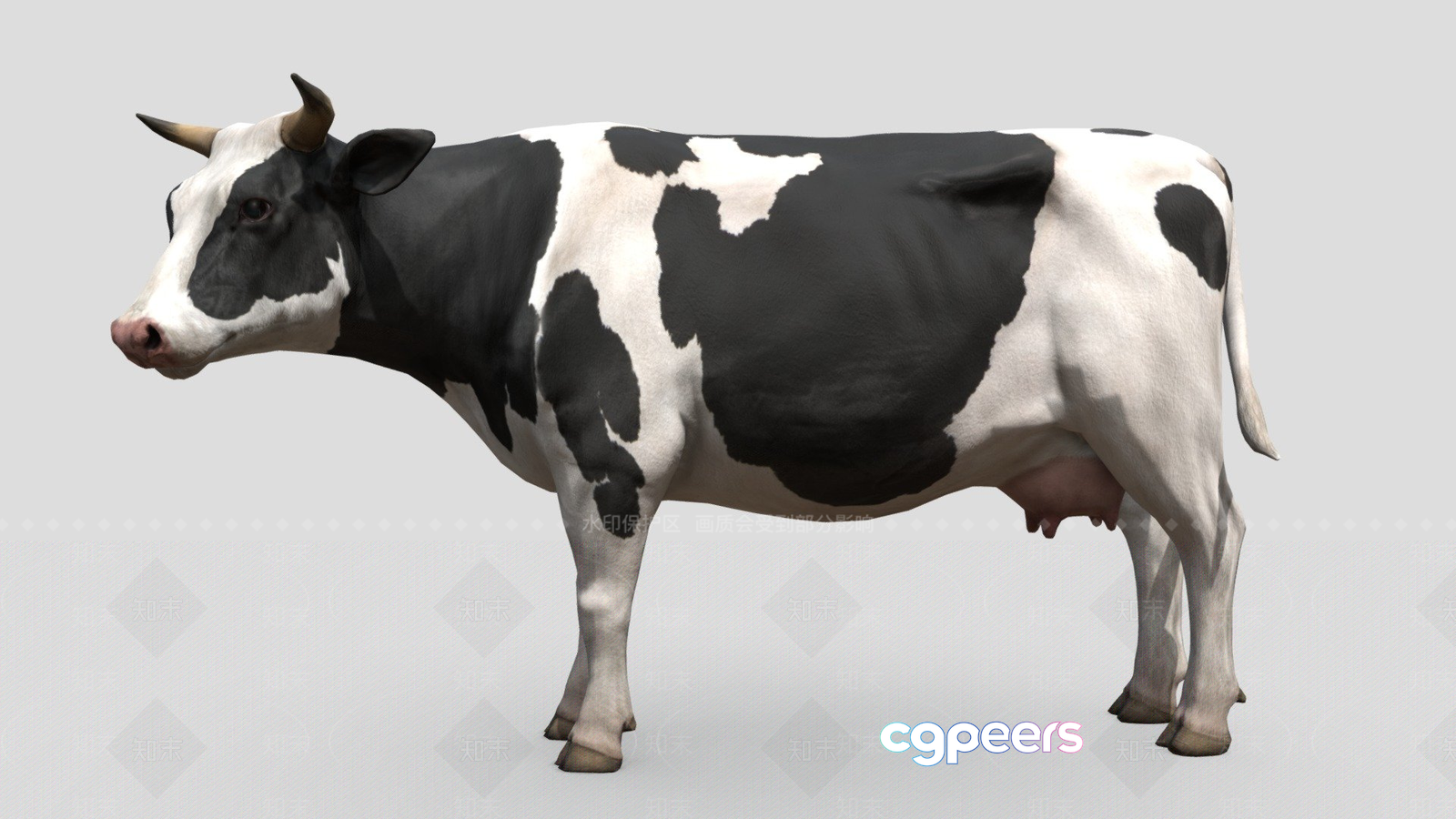 A Cow 3D Model - 16968 - VRAY Render A Cow 3D Model - 16968 - VRAY Render