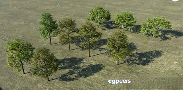 Trees In Grass 3D Model - 4557 - VRAY Render