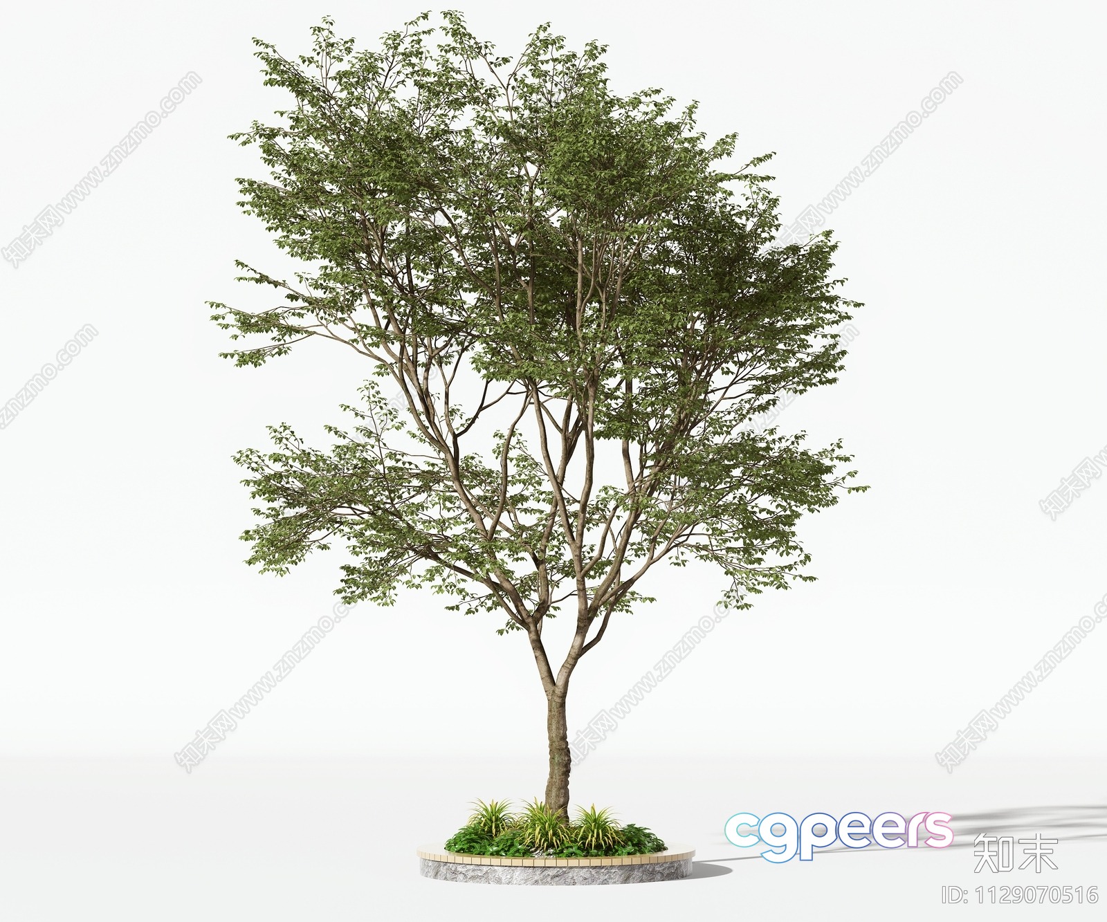A Tree With Green Leaves 3D Model - 11513 - VRAY Render A Tree With Green Leaves 3D Model - 11513 - VRAY Render