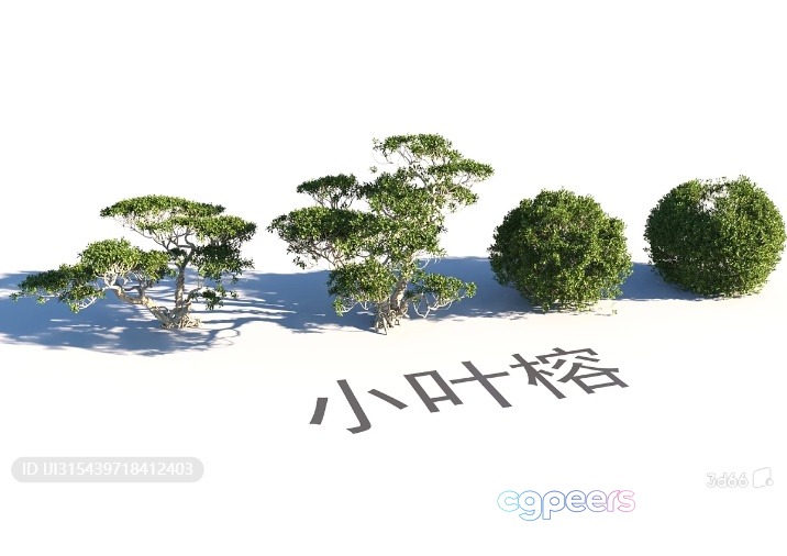 A Serene Landscape Featuring Three Trees And A Chinese Character Ev 3D Model - 16326 - VRAY Render