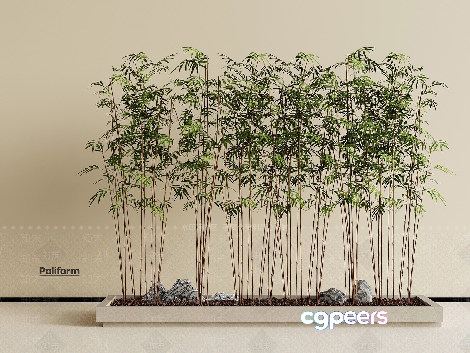 A Bamboo Plant In A Rectangular Planter 3D Model - 3825 - VRAY Render
